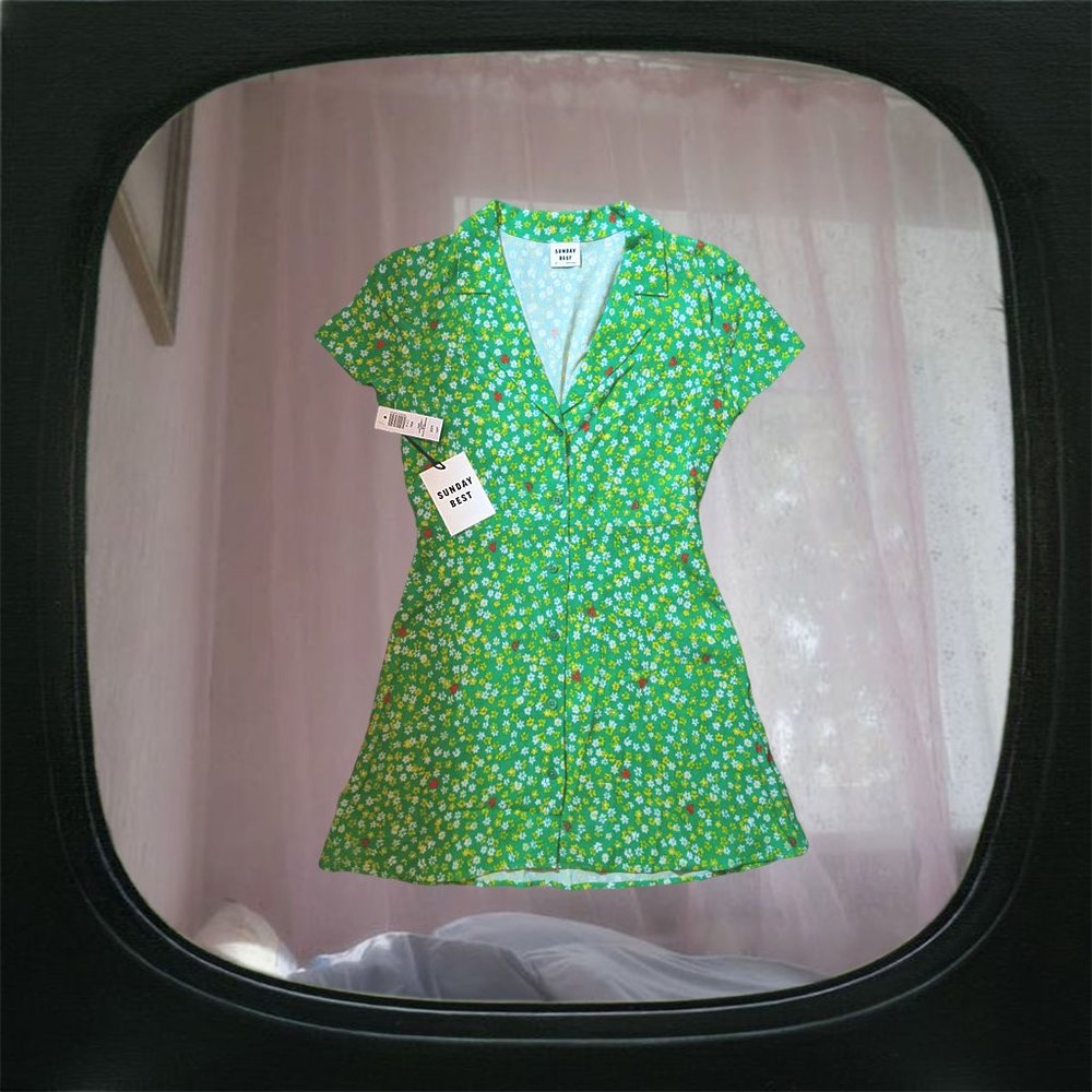 aritzia sunday best green daisy print mini dress